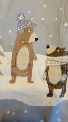 Pottery Barn Niños Invierno Oso Franela Estándar Falsa Azul Navidad  Foto 1 de 4