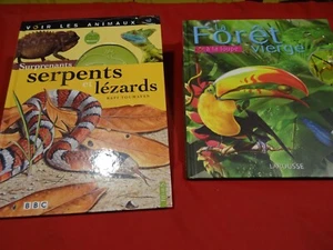 LOT 2 LIVRES ENFANT SERPENTS ET FORET VIERGET B éTAT COULEURS - Imagen 1 de 24
