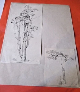 DESSIN Signée JEAN-ADRIEN MERCIER RACINES PLANTES 1970 Rare ANJOU BOTANIQUE - Picture 1 of 4