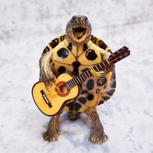 Whole body turtle taxidermy oddity guitar mariachi toad lizard reptile