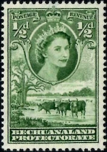 BECHUANALAND PROTECTORATE 1955-58 SG143 QEII ½d. GREEN  -  MNH - Image 1 of 1