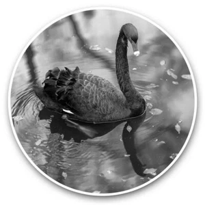 2 x Vinyl Stickers 10cm (bw) - Beautiful Black Swan  #37312 - Afbeelding 1 van 8