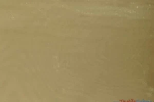 Organza cristal oro claro organza transparente poliéster 58" ancho - Imagen 1 de 1