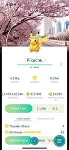 Disfraz Pikachu Flor Sombrero con Fondo Flor de Cerezo - Pokemon Go Trading ✅ - Imagen 1 de 1