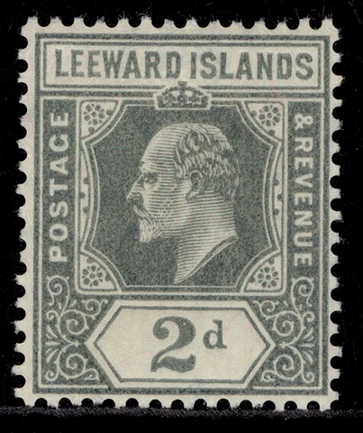 LEEWARD ISLANDS EDVII SG39, 2d grey, M MINT Cover