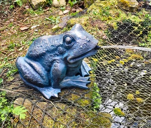 POND SPITTER FROG LARGE GARDEN WATER FOUNTAIN FEATURE STATUE 2m HOSE - Picture 1 of 5