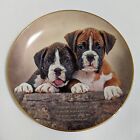 Vintage Danbury Mint Cherished Boxers puppies companion collector plate