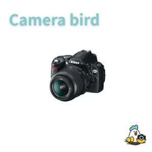 Nikon D60 DSLR Camera with 18-55mm VR Lens Kit, Battery, Charger Included - Picture 1 of 6