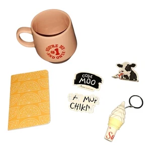 NUEVO Lote de 6 Genuinos Chick-fil-A Paquete/Regalos Adorno, Taza, Pluma, Calcetines - Imagen 1 de 13