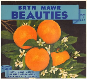 *Original* BRYN MAWR BEAUTIES Redlands *RARE* Orange Crate Label NOT A COPY! - Picture 1 of 1