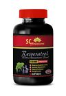 energy supplements for men - PURE RESVERATROL 1200MG - fat burner - 1 Bottle