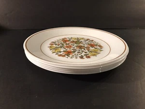 Menge 5 Corelle Indian Summer 8 1/2" Mittagessen Teller - Bild 1 von 5