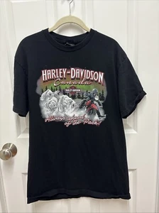 T-shirt Harley Davidson Canada Banff - Taglia Large - Foto 1 di 8