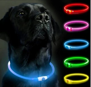   Hundehalsband LED Haustier Blinklicht USB-wiederaufladbar Sicherheit Größe verstellbar UK - Bild 1 von 18