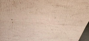 Maple Fiddleback Flame Bookmatch #0948 L.22" W.15&1/4" T. 3/8" - Picture 1 of 15