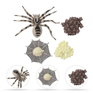 Wolf Tarantula Model Tierspielzeugmodell Realistisches Insektenspielzeug - Photo 1/12