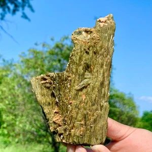 1.28LB Rare!!!Natural Epidote Crystals Cluster Bunched From Baluchistan Pakistan - Picture 1 of 24