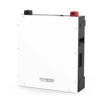 Batteria Dyness al Litio 5,12 kWh LV Con cavi di collegamento inclusi-
