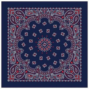 "Carolina Creative BANDANA AZUL CACHEMIRA Estampado 22"" x 22" - Imagen 1 de 1
