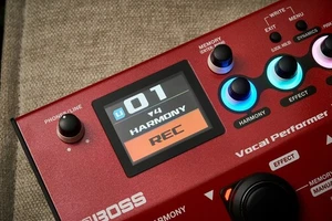 Boss Ve-22 Exclusive Bag Cb-Ve22 Ac Adapter Psa-100S Set Vocal Performer - Picture 1 of 11