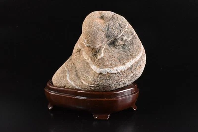 U8276: Cultura de piedra japonesa o pasatiempo de ver piedra en interiores, bonsái con bandeja Foto 1 de 4