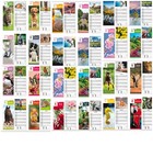 2026  Slim Calendar Planner Spiral, Coastal ,Scenic,  Slimline, envelope Gift DG