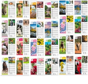 2023 Slim Calendar Planner Spirale, Coastal, Scenic, Slimline, busta regalo DG - Foto 1 di 45