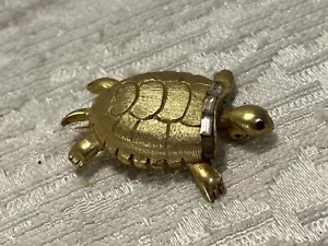 PIN DE TORTUGA PELL ESTRÁS DE COLECCIÓN -- 5481 - Imagen 1 de 6