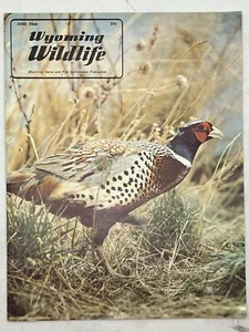 Wyoming Wildlife Magazine June 1968 Cover Artist: Allan Sicks - Imagen 1 de 3