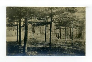 South Hanson MA lote de 2 postales fotográficas RPPC, personas en el muelle, bosque, charlando - Imagen 1 de 5