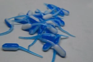 JASONS CRAPPIE STINGER1.5" 30 PK GRUB CRAPPIE LURES JIGS BLUE & WHITE - Picture 1 of 2