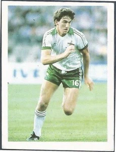 PANINI 1990-LOS GRANDES DE TODOS LOS TIEMPOS 1920-1990 #69-IRLANDA DEL NORTE-LADO BLANCO NORMANDO - Imagen 1 de 1