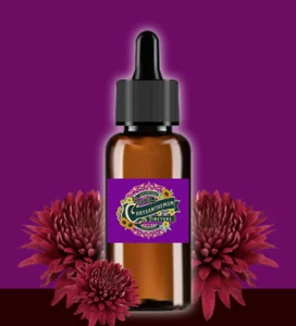 Chrysanthemenextrakt (Chrysantheme x Morifolium) Bio Blumen flüssig 2 oz - Bild 1 von 12