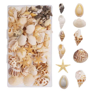 130PCS Mixed Style Snail Conch Charms 10-35mm Shell Starfish Pendant DIY Making - Picture 1 of 5