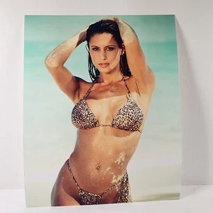 Diane Sorrentino Miss Hawaiian Tropic Circuit Girls 8 x 10 Foto (C) - Bild 1 von 2