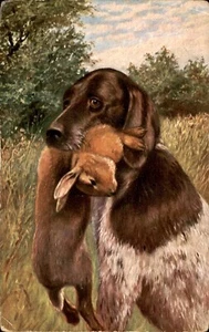 A Hunting Dog with a Prey in the Mouth Artist Drawn Vintage Postcard, Dog, 1910s - Picture 1 of 2