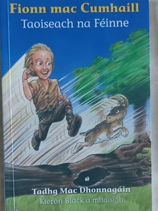 Fionn Mac Cumhaill Book Irish Mythology Celtic Folklore 9781857916676 - Picture 1 of 3