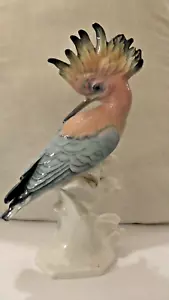 Karl Ens : Important Statue Bird Hoopoe Porcelain Dresden H=25 CM 1919/45 - Picture 1 of 12