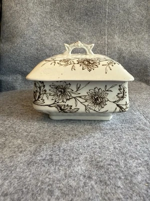 Antique T. Furnival and Sons SPRAY Aesthetic Period Transferware Tureen with Lid - Image 1 of 4