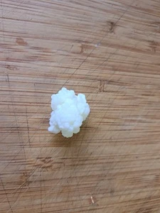 Kefirpilz Kefirknolle Milchkefir - Bild 1 von 1