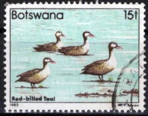 ZAYIX Botswana 312 Used Birds Red Billed Teals Wildlife Nature 062723S99 Cover