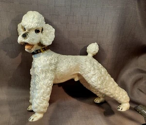 AUSTRIAN POODLE - WHITE PORCELAIN 9 X 9.5 IN Rosenthal Look Alike - Picture 1 of 8