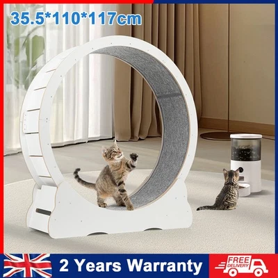 Wooden Cat Exercise Wheel 52" Large Cat Treadmill Wheel for Indoor Cats Hmcitqvs - Image 1 of 4