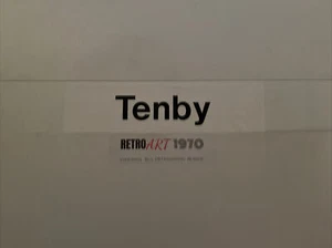 British Rail Train Blind 3/225 20"" - Estación - Tenby - Imagen 1 de 12