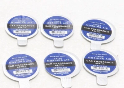 6 Bath & Body Works CRISP MORNING AIR Recarga de Fragancia de Coche Aroma-Portátil Foto 1 de 3