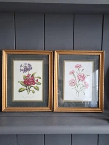 Framed Floral Prints Maureen Roberts x2 Gold Tone Vintage 7" x 5.5" - Picture 1 of 13