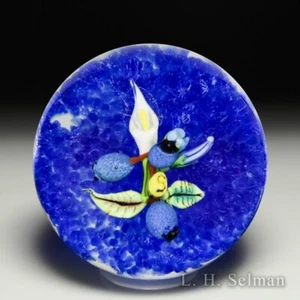 Chris Sherwin 2023 blueberry branch glass paperweight - Picture 1 of 2