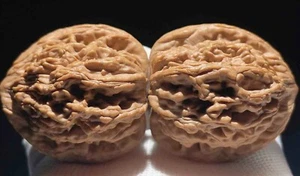 全品狮子头，洛杉矶现货，全美可发. Chinese WenWan Walnut Hand Massage  原树 老北京 蟠龙纹 - Picture 1 of 3