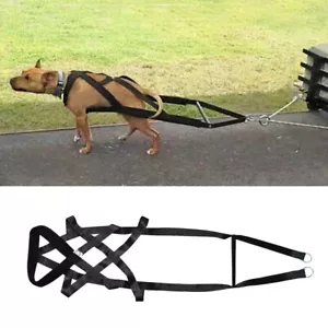 Weight Pulling Sledding Harness for Large Dogs X Back Training Pitbull Mastiff - Picture 1 of 12