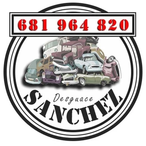 front moldings for PEUGEOT 407 1.6 HDI 2004 106309 - Bild 1 von 2